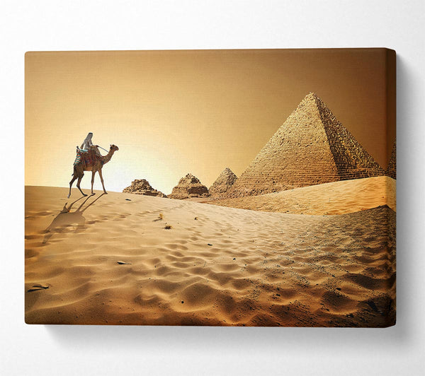  A Canvas Print of Caramel Camel Pyramids Canvas Art