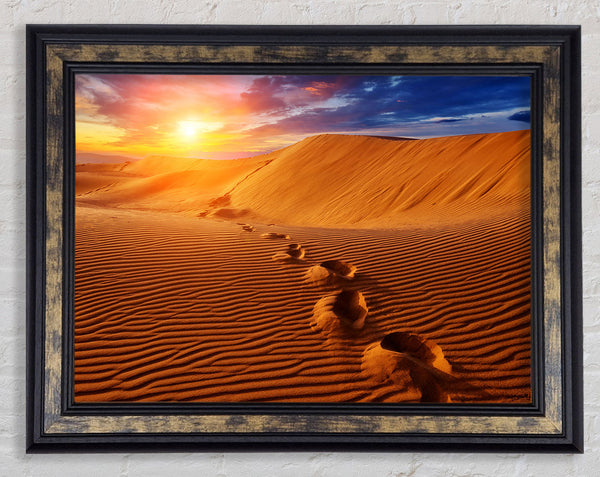 Footprints In The Desert Sun Framed Print