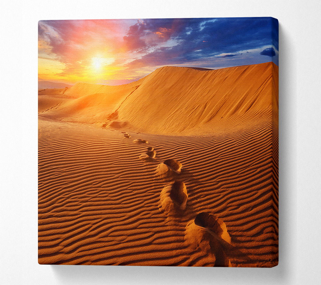  A Canvas Print of Footprints In The Desert Sun Canvas Art