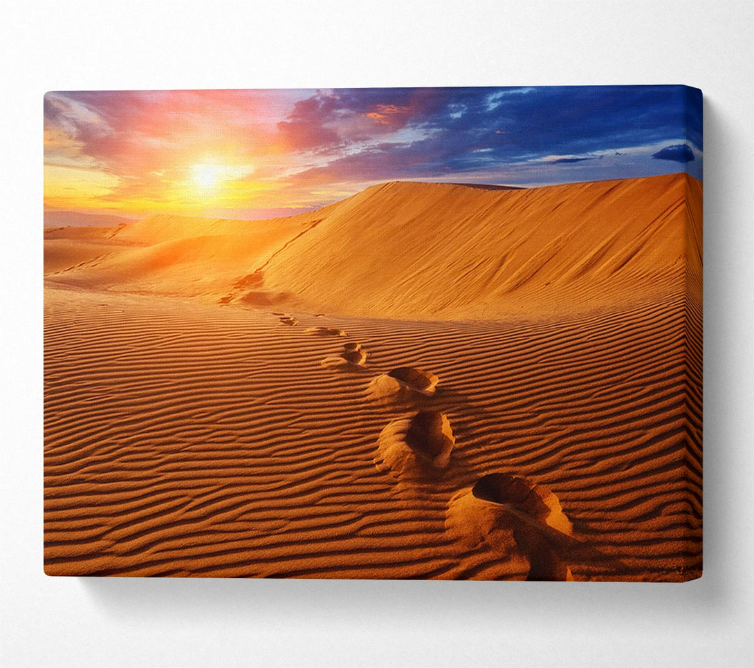  A Canvas Print of Footprints In The Desert Sun Canvas Art