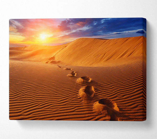 A Canvas Print of Footprints In The Desert Sun Canvas Art