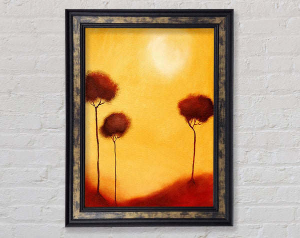 Cotton Tree Sun Framed Print