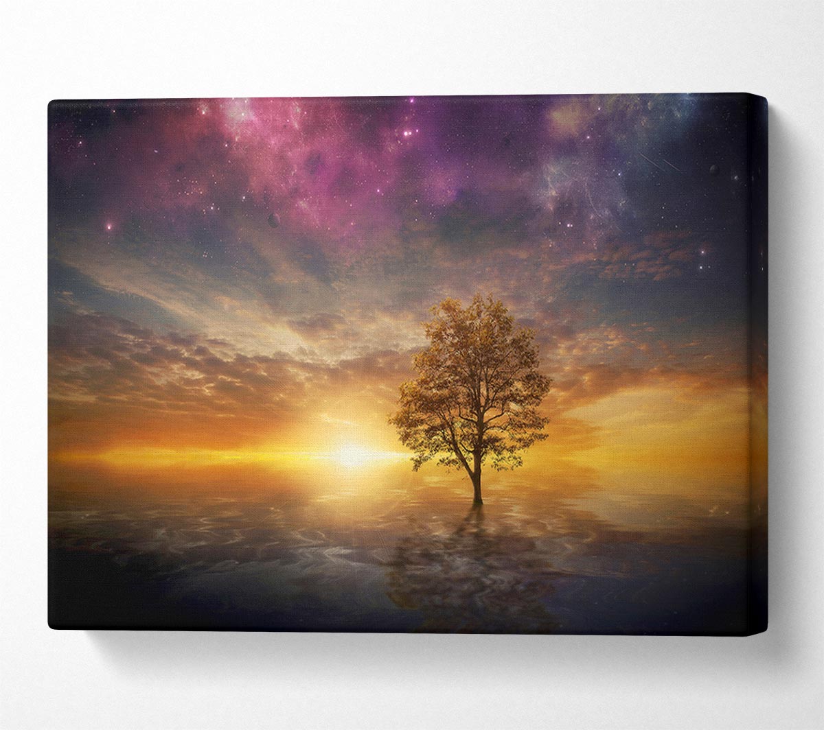 Tree In The Universal Skies Canvas Wall Art