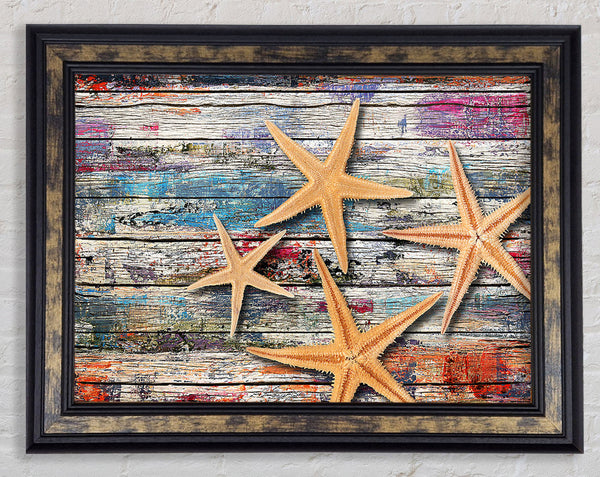 Starfish Boardwalk