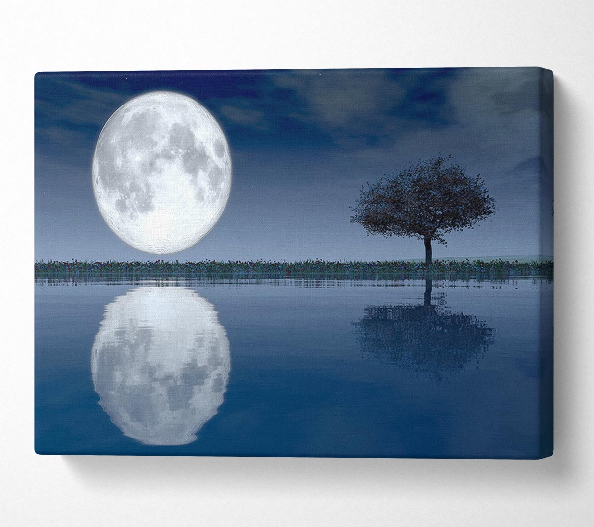 Moon Reflection Canvas Wall Art