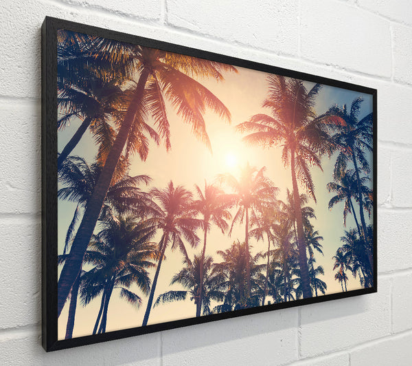 Palm Tree Haze 1