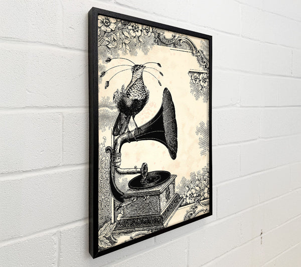 First Record Players