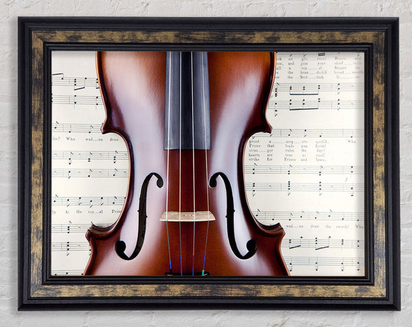 Violin Splendor Framed Print