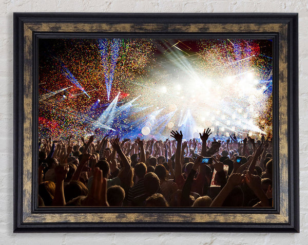 As The Crowd Goes Wild Framed Print