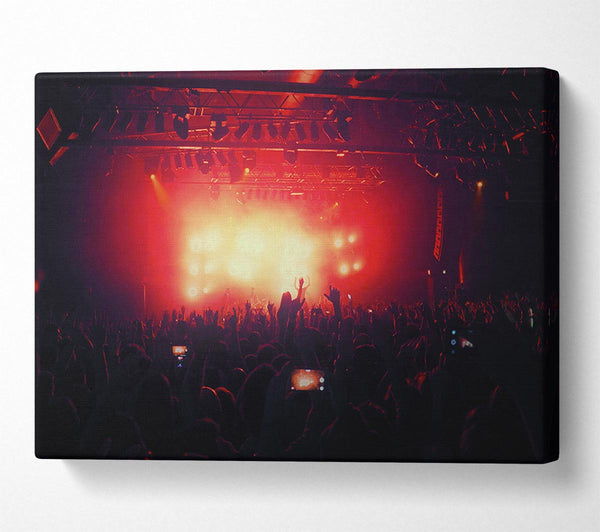  A Canvas Print of Going Wild Canvas Wall Art