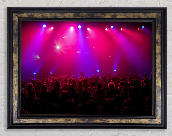 Ready For The band Framed Print