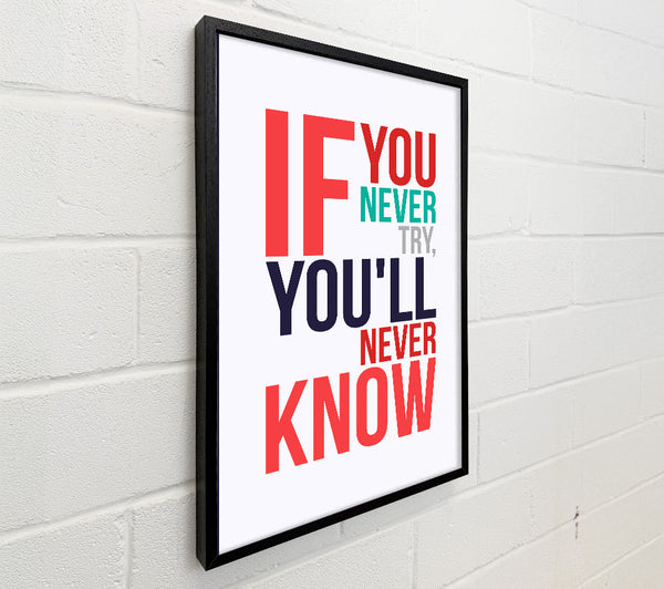 If You Never Try 1