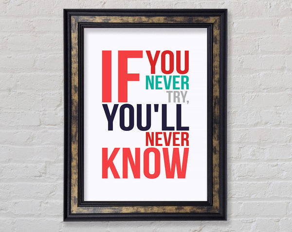 If You Never Try 1 Framed Print