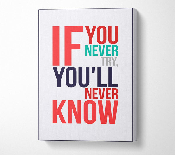  A Canvas Print of If You Never Try 1 Canvas Wall Art