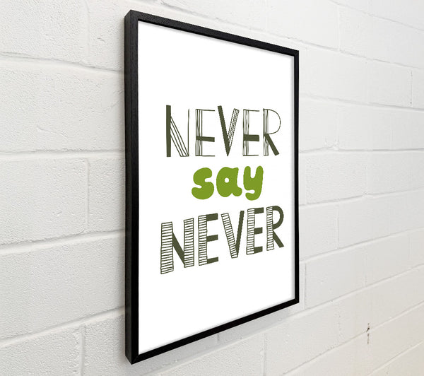 Never Say Never 1