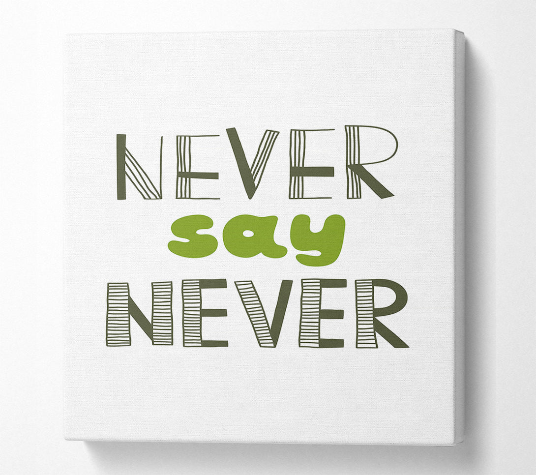  A Canvas Print of Never Say Never 1 Canvas Wall Art