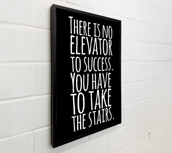 There Is No Elevation To Success