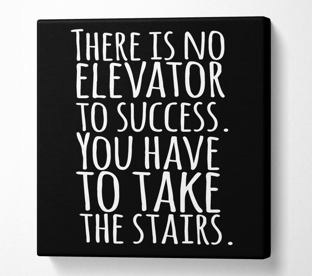  A Canvas Print of There Is No Elevation To Success Canvas Wall Art