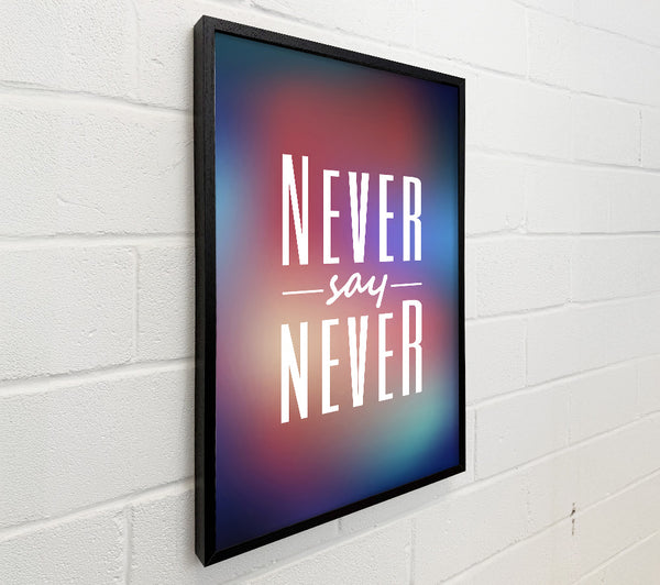 Never Say Never 2