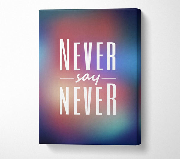  A Canvas Print of Never Say Never 2 Canvas Print
