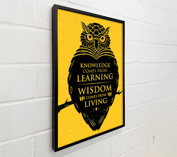 Knowledge And Wisdom