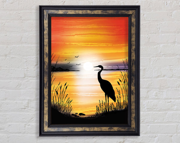Beautiful Crane At Sunset Framed Print