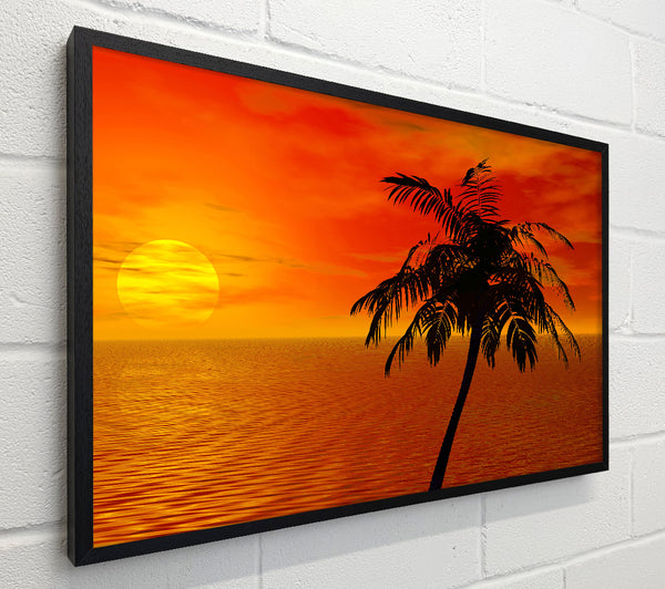 Palm Tree Ocean Sun