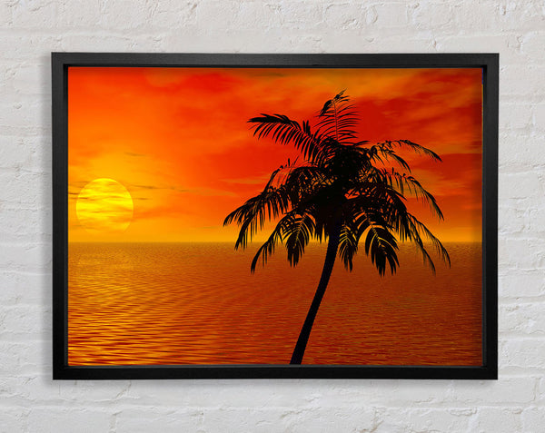 Palm Tree Ocean Sun