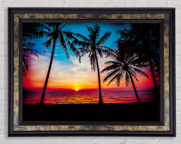 As The Sun Goes Down Between The Palm Trees Framed Print