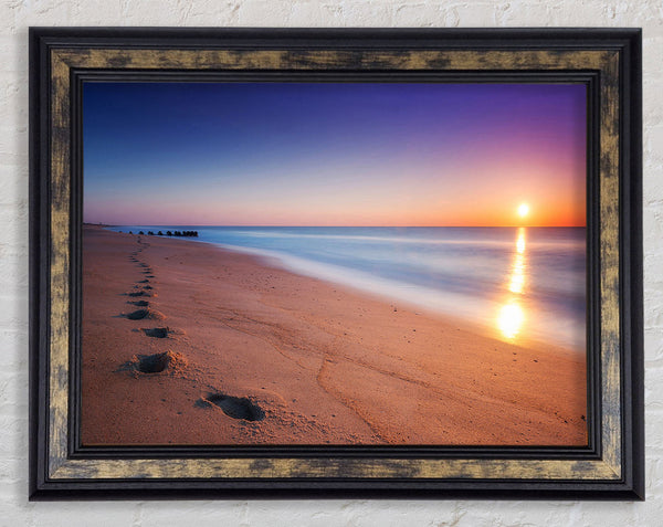 Walk Of Love Framed Print