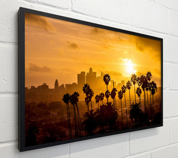 Palm Tree City