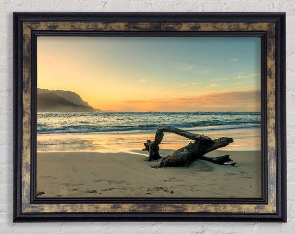 Driftwood Ocean Framed Print