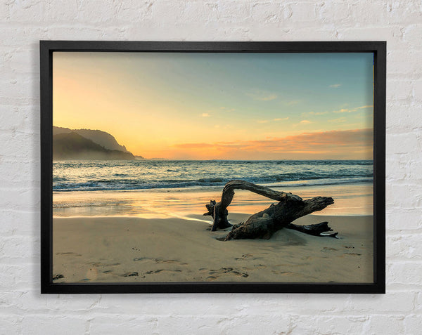 Driftwood Ocean Framed Print
