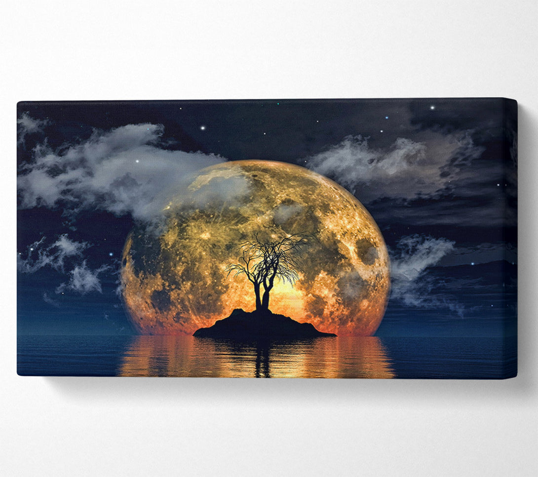  A Canvas Print of Fire Sun Tree Canvas Art