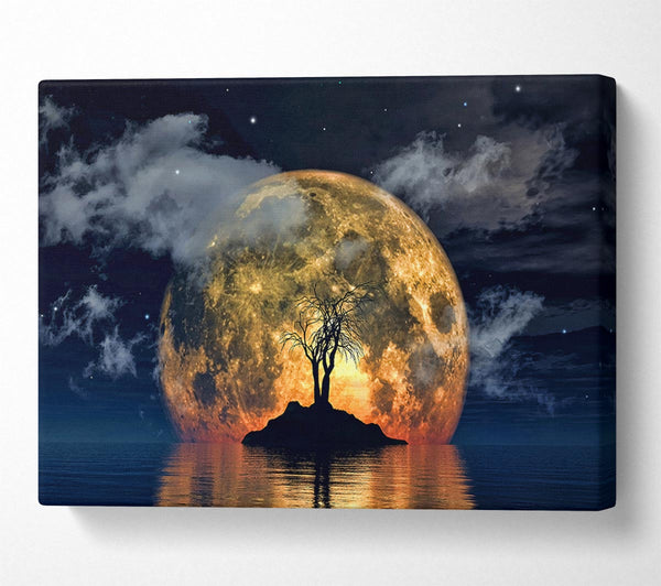  A Canvas Print of Fire Sun Tree Canvas Art
