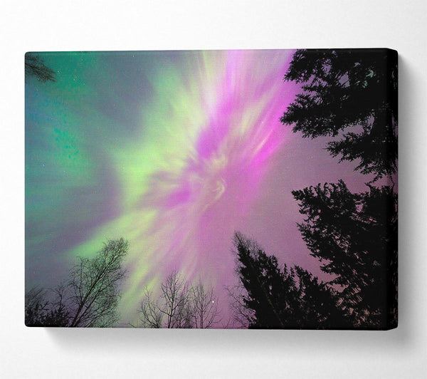  A Canvas Print of Northern Light Skies 2 Canvas Art