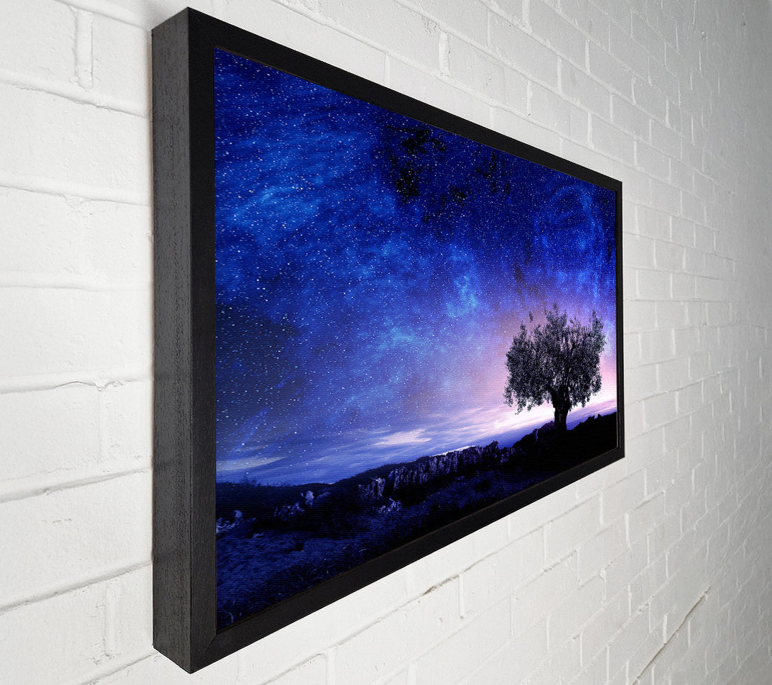  A Canvas Print of Star Light Wonder Canvas Art