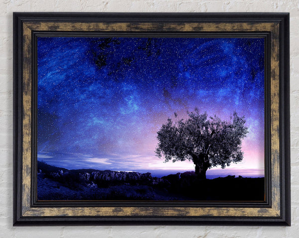 Star Light Wonder Framed Print