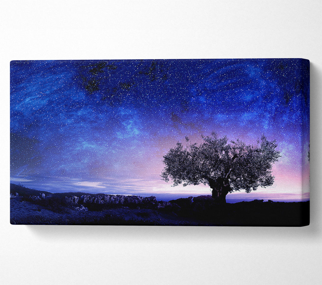  A Canvas Print of Star Light Wonder Canvas Art