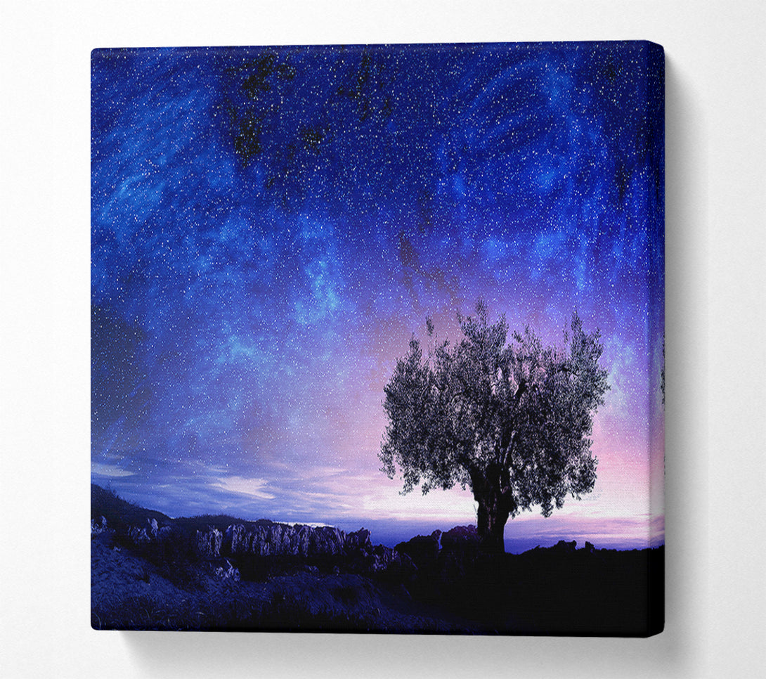  A Canvas Print of Star Light Wonder Canvas Art