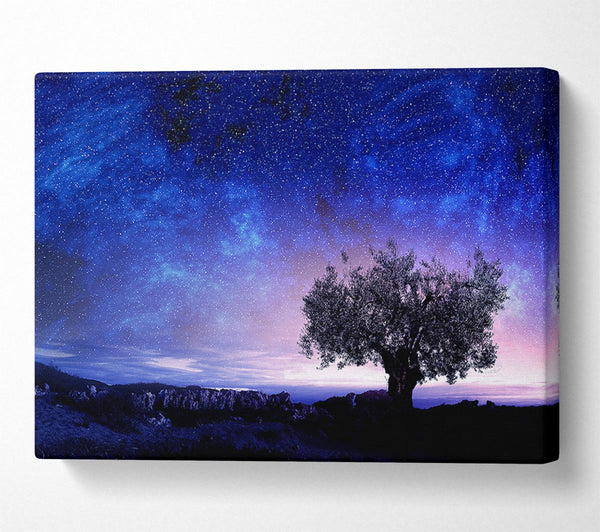  A Canvas Print of Star Light Wonder Canvas Art