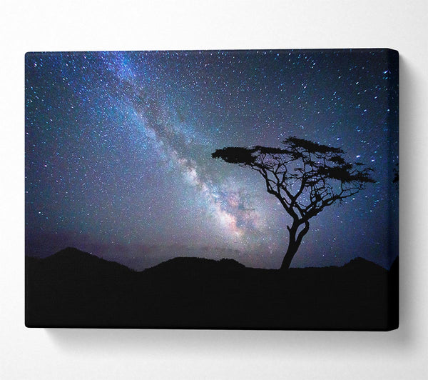 A Canvas Print of Stunning Star Night Sky Canvas Wall Art