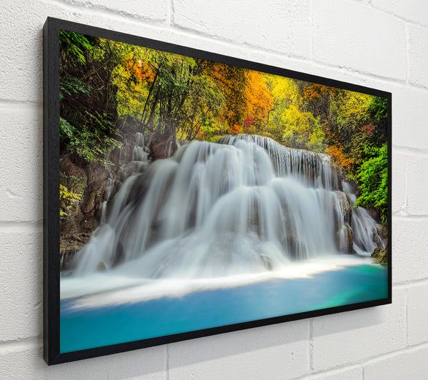 Gentle Forest Waters