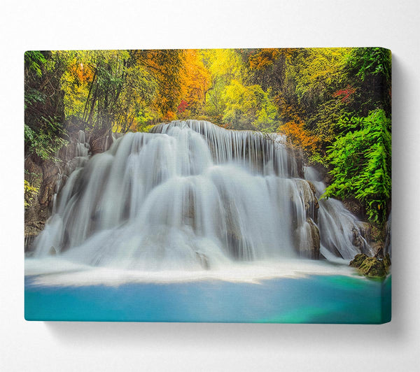  A Canvas Print of Gentle Forest Waters Canvas Print