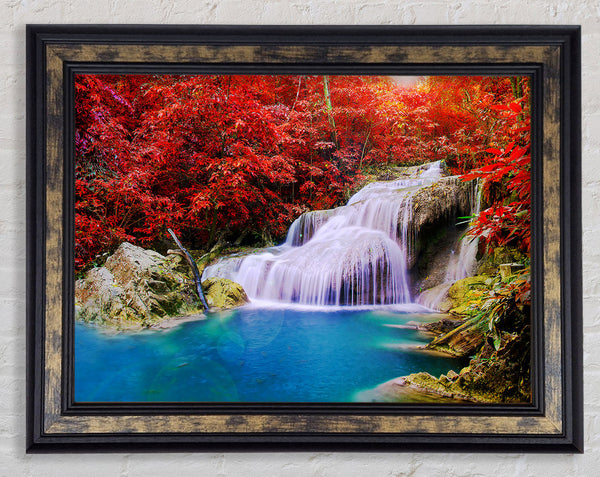 Red Tree Delight Framed Print
