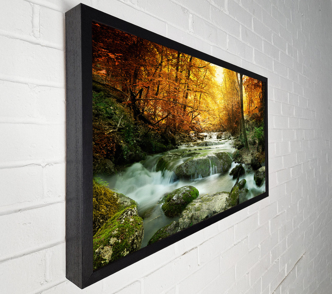  A Canvas Print of Forest Magic Canvas Wall Art
