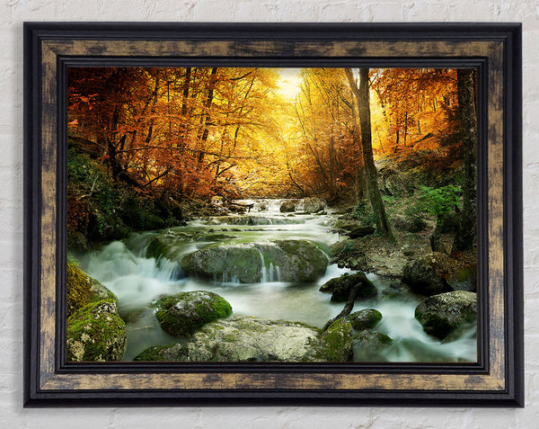 Forest Magic Framed Print