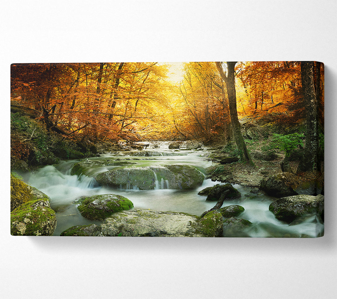  A Canvas Print of Forest Magic Canvas Wall Art