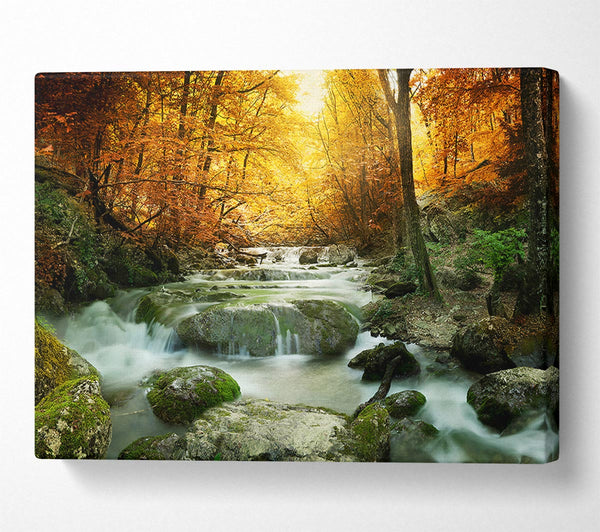  A Canvas Print of Forest Magic Canvas Wall Art