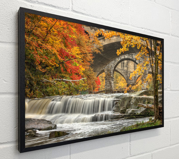 Bridge In The Forest